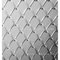 PVC-coated Chain Link Fence (Real Factory)